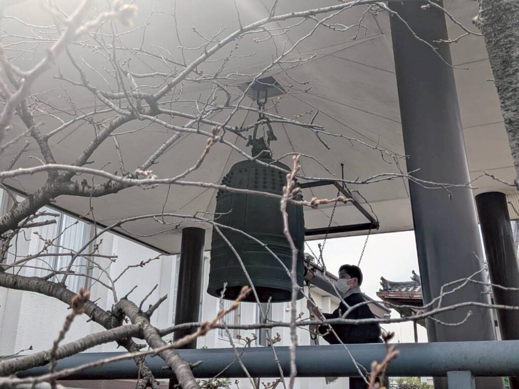 菊川君の鐘撞き